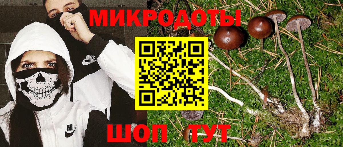 Галлюциногенные грибы мухоморы  Вход с VPN  Псилоцибиновые грибы ЛСД  Кизилюрт 